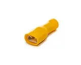 04229_thumb