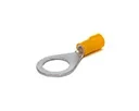 04238_thumb
