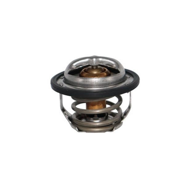 CA-TT1017 — Termostato CAUPLAS TT1017