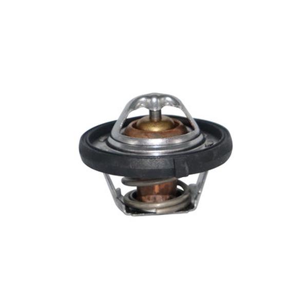 CA-TT1036 — Termostato CAUPLAS TT1036
