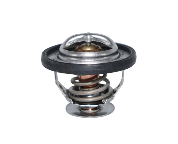 CA-TT1049 — Termostato CAUPLAS TT1049