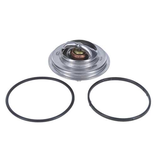 CA-TT1064 — Termostato CAUPLAS TT1064