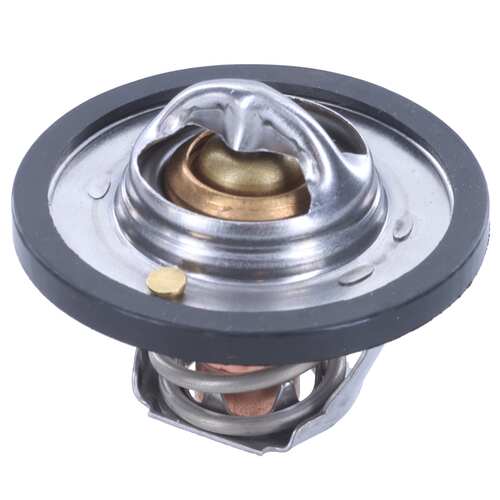 CA-TT1069 — Termostato CAUPLAS TT1069