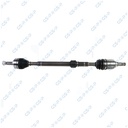 Flecha Homocinética GSP 203774