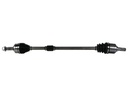 Flecha Homocinética GSP 203964