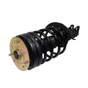 Strut Armado con Resorte Delantero GSP 30300010