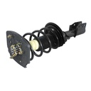 Strut Armado con Resorte Trasero Derecho GSP 30300251