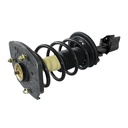 Strut Armado con Resorte Trasero Izquierdo GSP 30300252