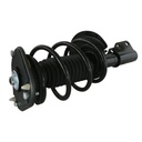Strut Armado con Resorte Delantero GSP 30300270