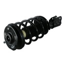 Strut Armado con Resorte Delantero GSP 30300290