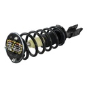 Strut Armado con Resorte Delantero Izquierdo GSP 30300312