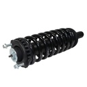 Strut Armado con Resorte Delantero GSP 30300340