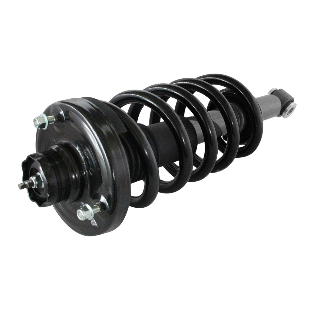 30300550 — Strut Armado con Resorte Trasero GSP 30300550