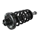 Strut Armado con Resorte Trasero GSP 30300550