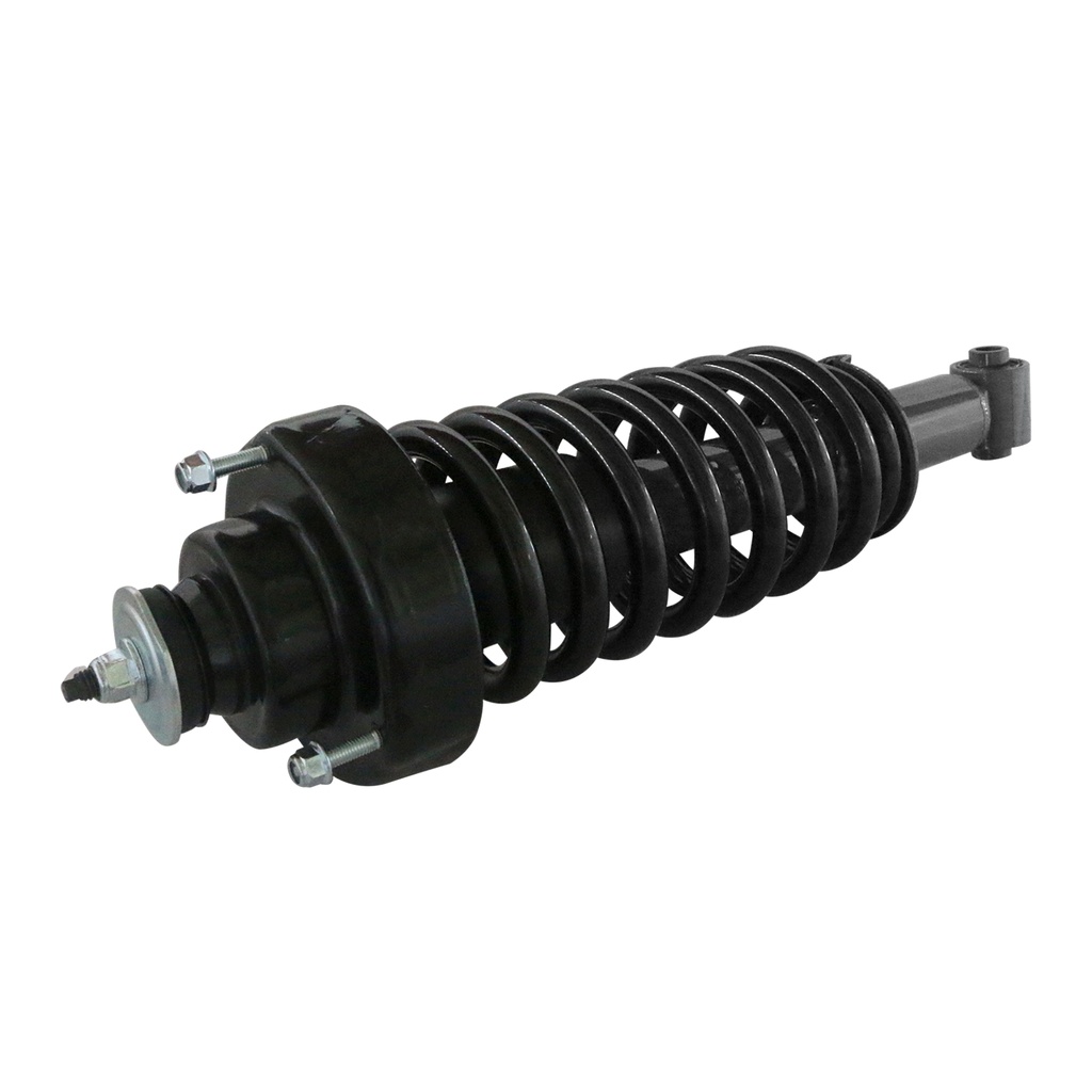 30300570 — Strut Armado con Resorte Trasero GSP 30300570