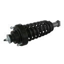 Strut Armado con Resorte Trasero GSP 30300570