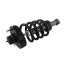 Strut Armado con Resorte Trasero GSP 30300620