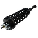 Strut Armado con Resorte Delantero GSP 30300650