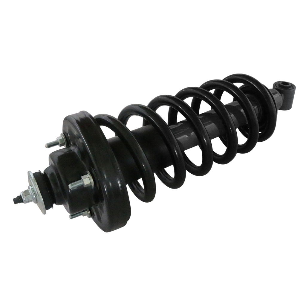 30300660 — Strut Armado con Resorte Trasero GSP 30300660