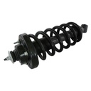 Strut Armado con Resorte Trasero GSP 30300660