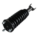 Strut Armado con Resorte Delantero GSP 30300870