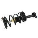 Strut Armado con Resorte Trasero Derecho GSP 30300891