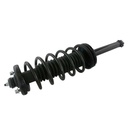 Strut Armado con Resorte Trasero GSP 30301090