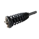 Strut Armado con Resorte Delantero Izquierdo GSP 30301102