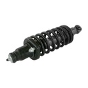 Strut Armado con Resorte Trasero Izquierdo GSP 30301192