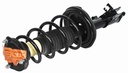 Strut Armado con Resorte Trasero Derecho GSP 30301241