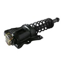 Strut Armado con Resorte Trasero Derecho GSP 30301261