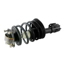Strut Armado con Resorte Delantero GSP 30301290