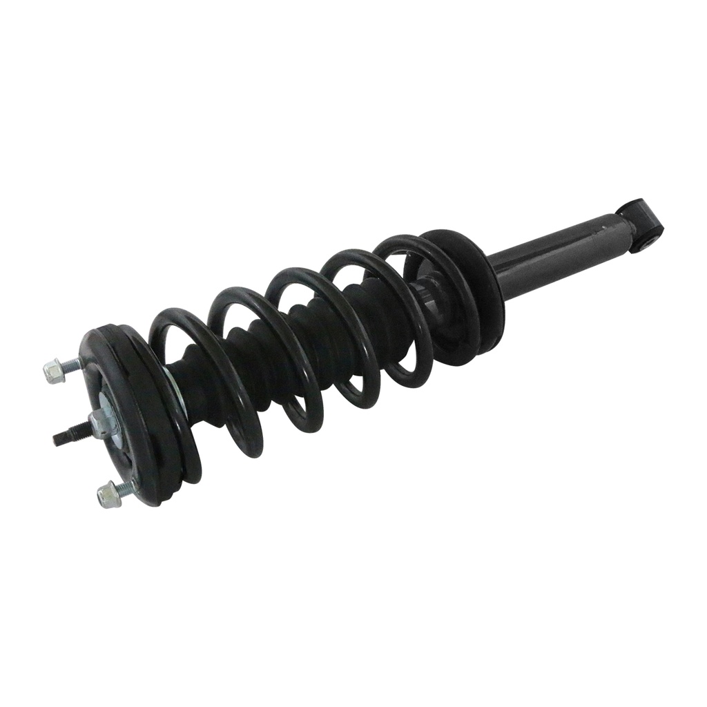 30301370 — Strut Armado con Resorte Trasero GSP 30301370