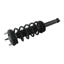 Strut Armado con Resorte Trasero GSP 30301370
