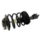 Strut Armado con Resorte Delantero Derecho GSP 30301461
