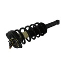 Strut Armado con Resorte Trasero GSP 30301500