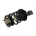 Strut Armado con Resorte Delantero Izquierdo GSP 30301702