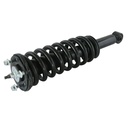 Strut Armado con Resorte Delantero Izquierdo GSP 30301742