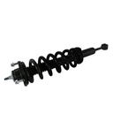 Strut Armado con Resorte Delantero Derecho GSP 30301821