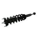 Strut Armado con Resorte Delantero Derecho GSP 30301851