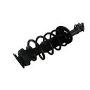 Strut Armado con Resorte Delantero GSP 30301870