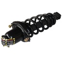Strut Armado con Resorte Trasero Derecho GSP 30302111