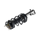 Strut Armado con Resorte Delantero GSP 30302230