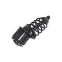 Strut Armado con Resorte Trasero Derecho GSP 30302291