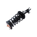 Strut Armado con Resorte Trasero Izquierdo GSP 30303172