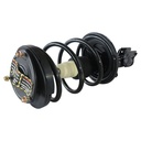 Strut Armado con Resorte Delantero Derecho GSP 30303201