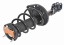 Strut Armado con Resorte Trasero Izquierdo GSP 30303242