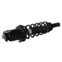 Strut Armado con Resorte Trasero GSP 30303260