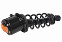 Strut Armado con Resorte Trasero Derecho GSP 30303331