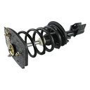 Strut Armado con Resorte Trasero Derecho GSP 30303341